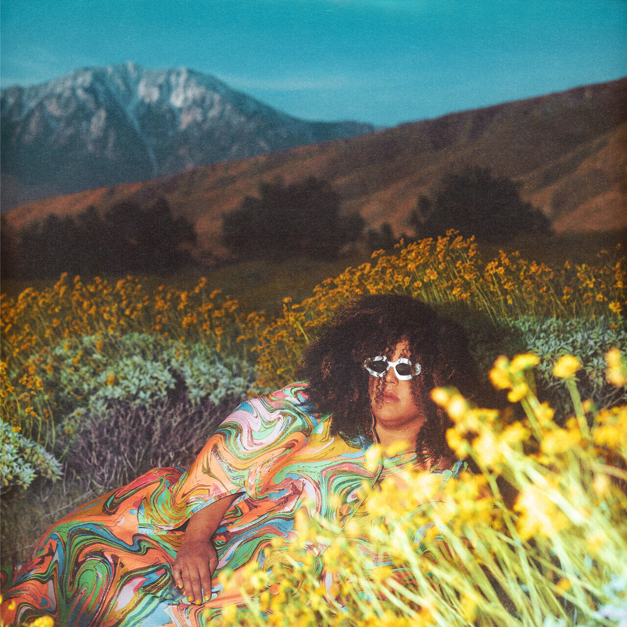 Brittany Howard What Now album art